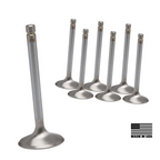 WSRD STD Size Intake & Exhaust Valves | Can-Am X3