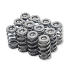 WSRD Terminator Valve Spring Kit | Can-Am X3 & Ski-Doo 900ACE